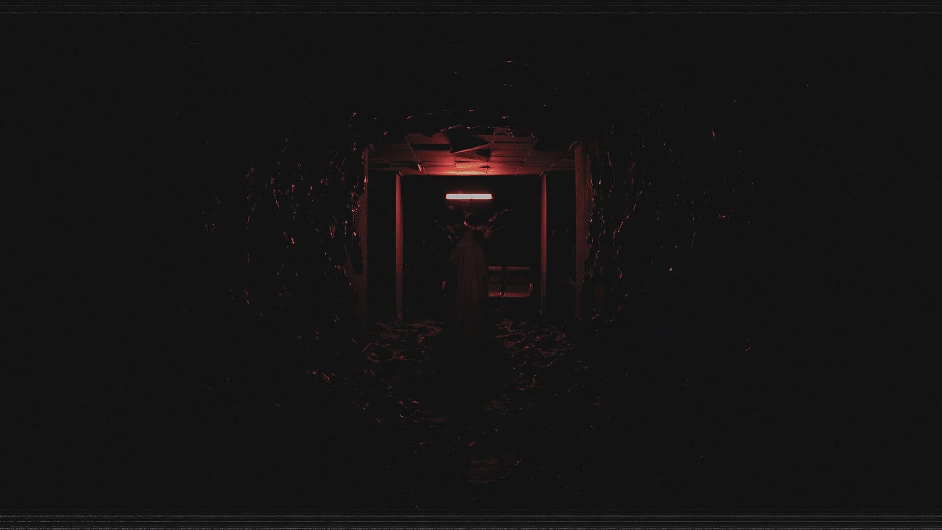 Изображение игры: Paranormal VHS