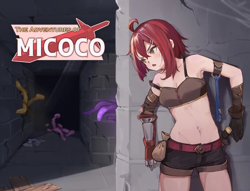 Изображение игры: The Adventures of MICOCO