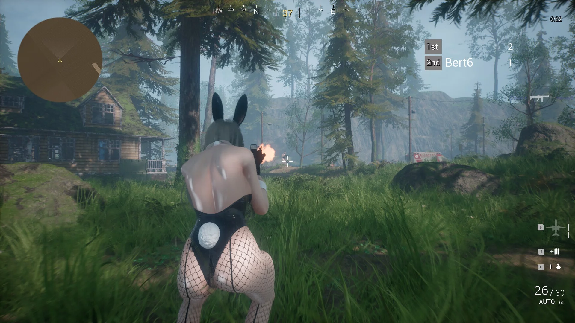 Изображение игры: Bunny Battle