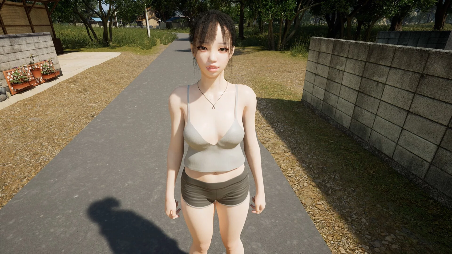 Изображение игры: SummerAfterTenYears