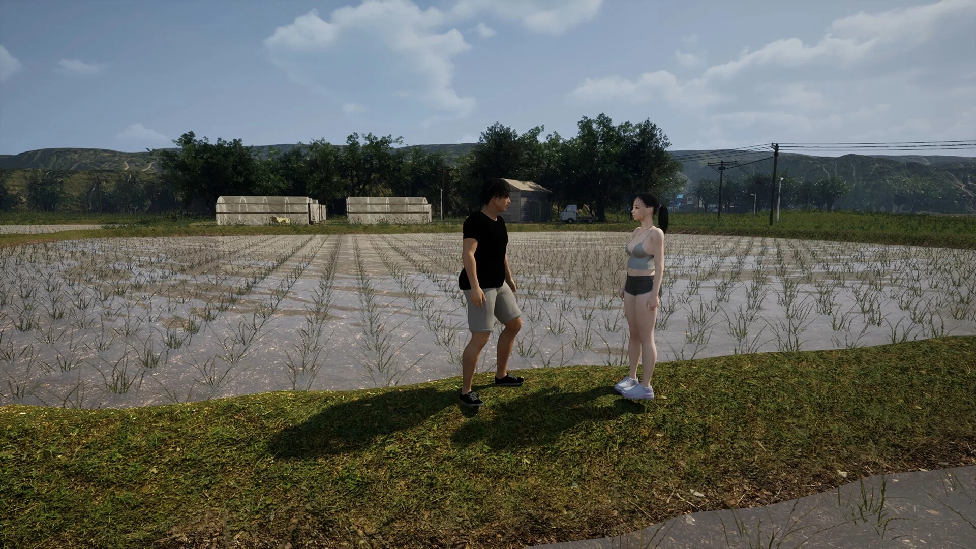 Изображение игры: SummerAfterTenYears