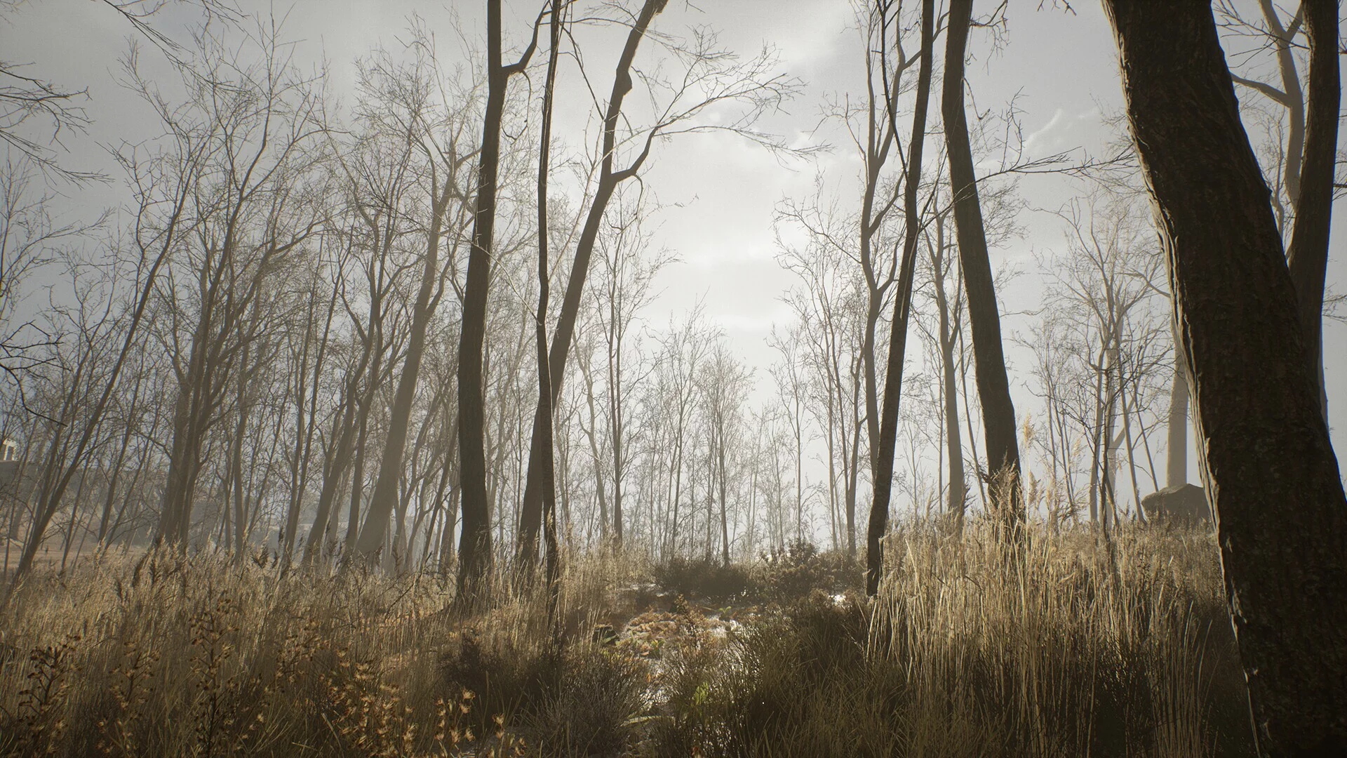 Изображение игры: Nowhere: Mysterious Artifacts