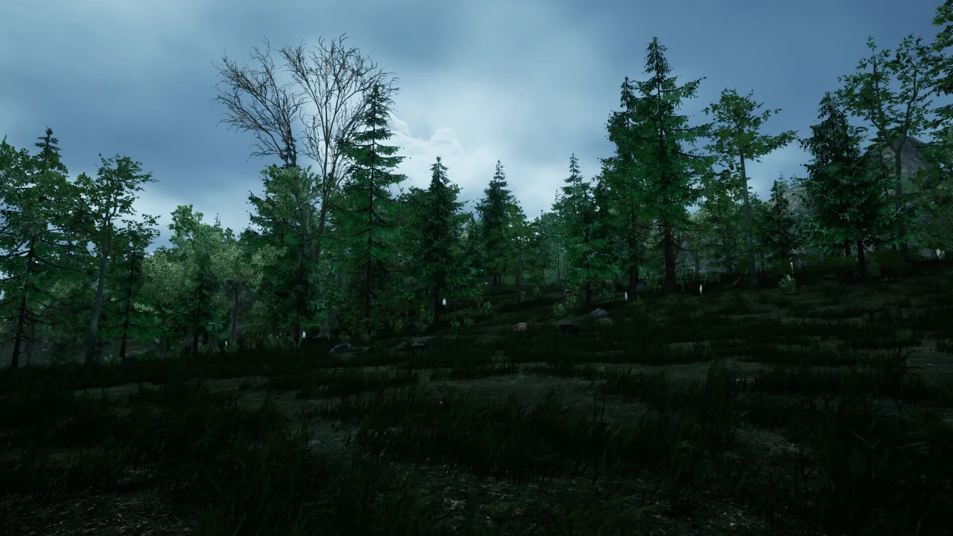 Изображение игры: the ISLE survival