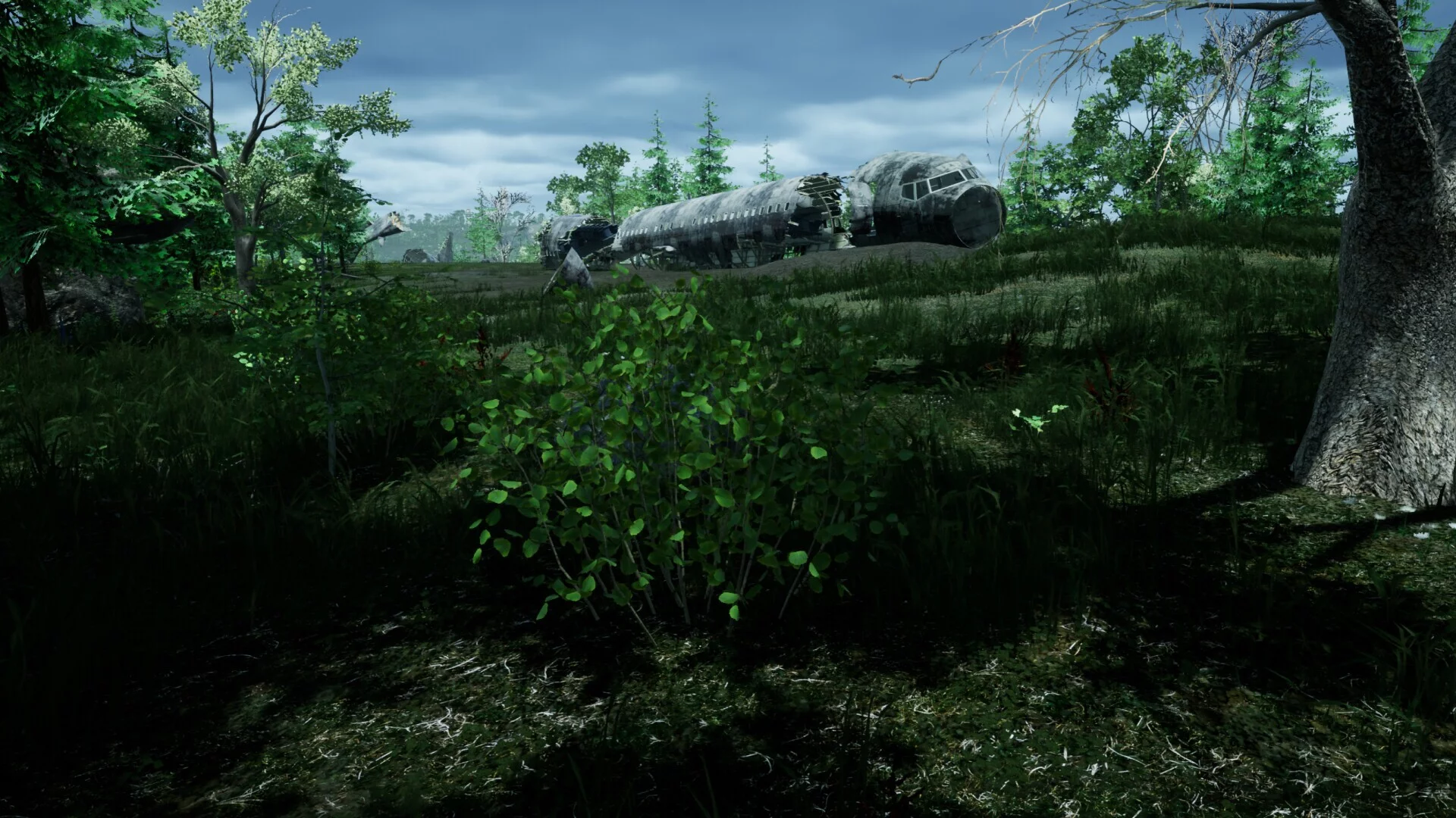 Изображение игры: the ISLE survival