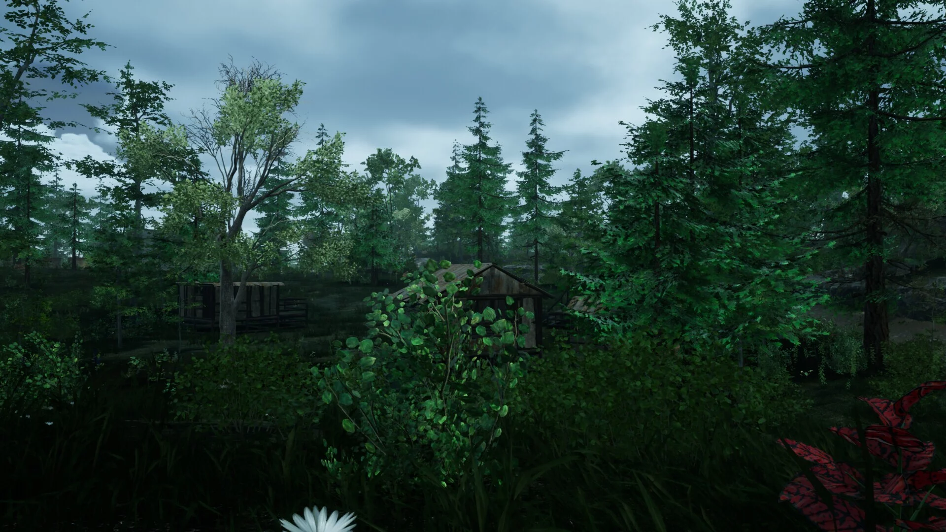 Изображение игры: the ISLE survival