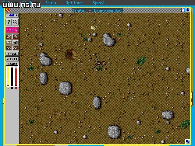 Изображение игры: SimAnt