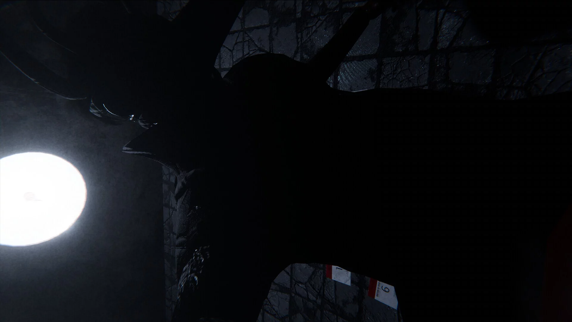 Изображение игры: Sorrow Asylum