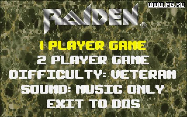 Изображение игры: Raiden