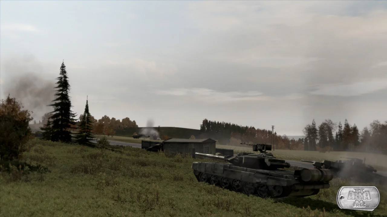 Изображение игры: ArmA II: Free