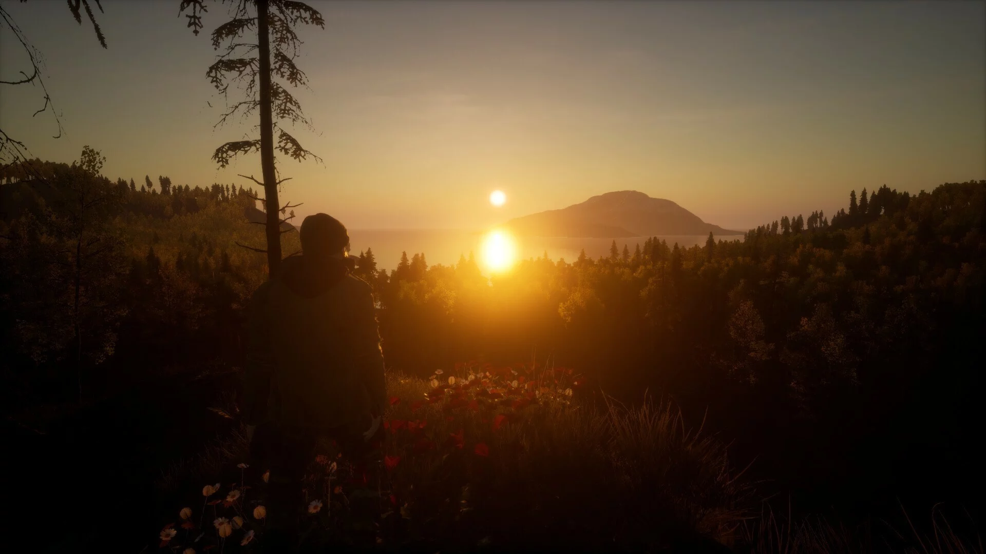 Изображение игры: Shattered: The Final Days