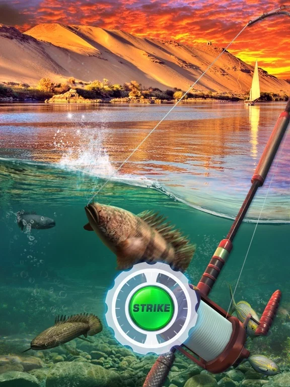 Изображение игры: Fishing Rival 3D