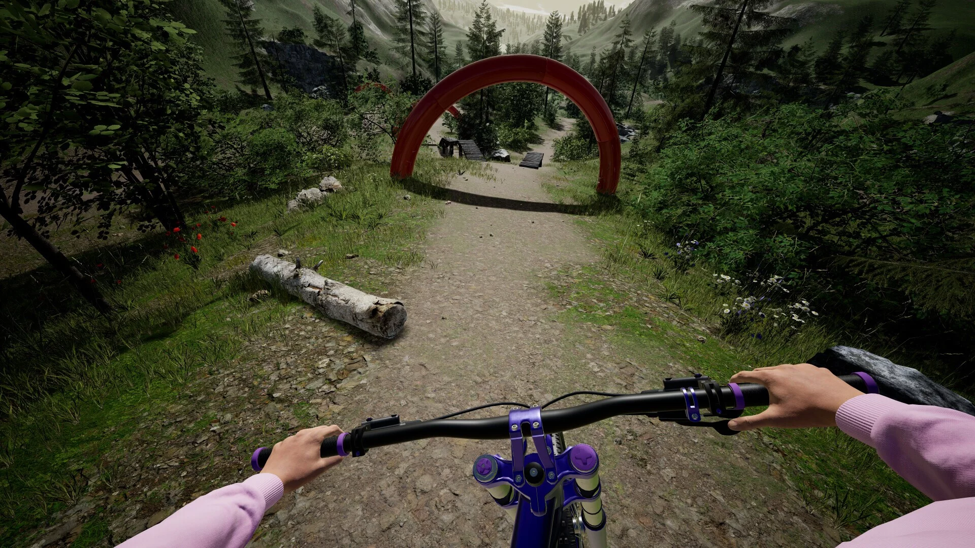 Изображение игры: DownhillVR