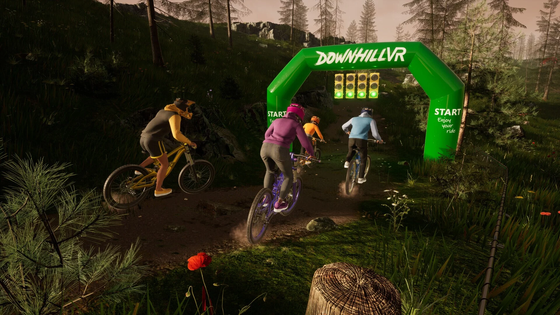 Изображение игры: DownhillVR