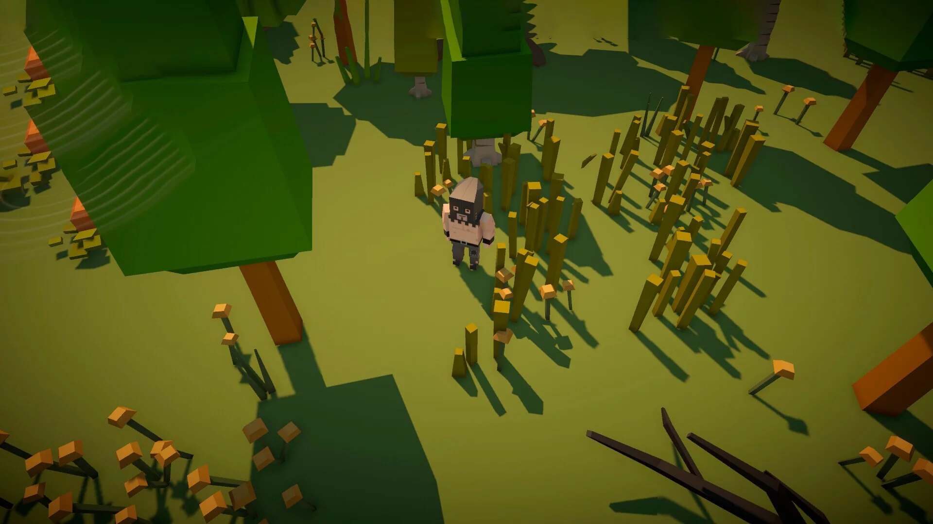 Изображение игры: Forester