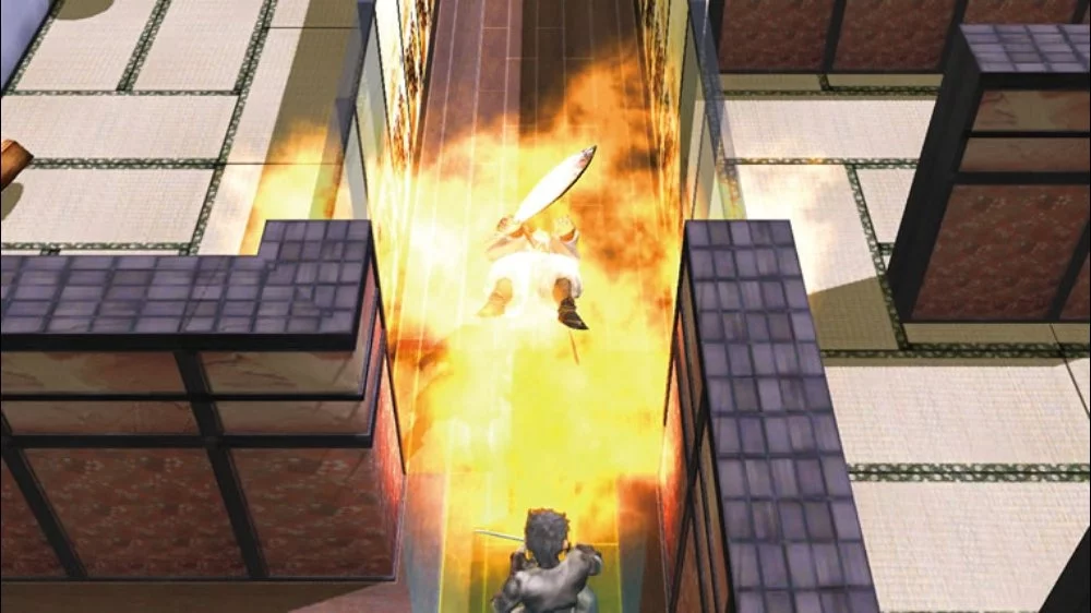 Изображение игры: Tenchu: Shadow Assault