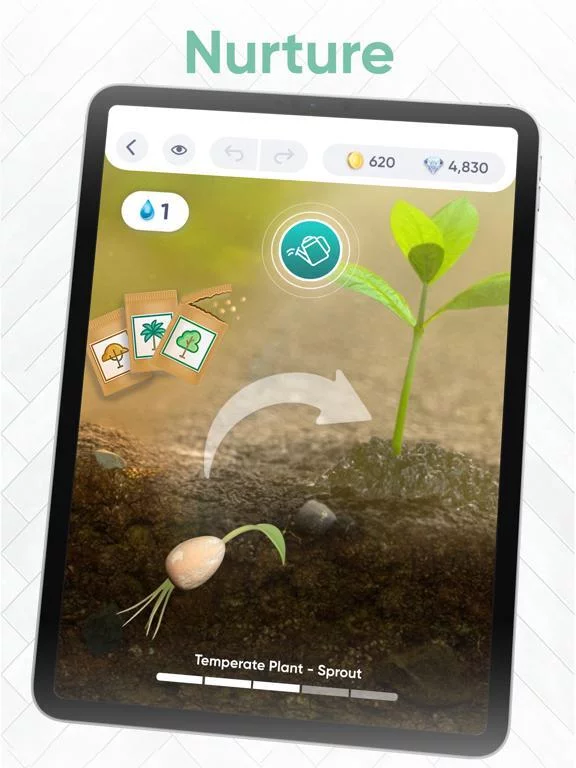 Изображение игры: Garden Joy