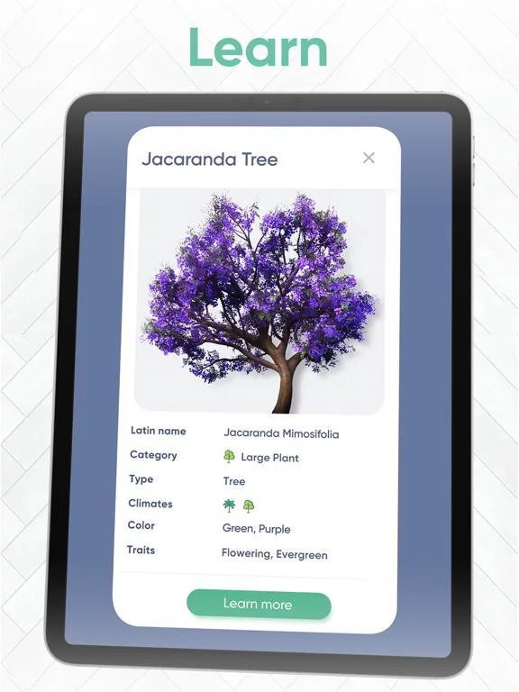 Изображение игры: Garden Joy