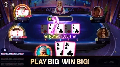 Изображение игры: Texas Poker Party