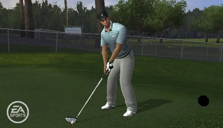 Изображение игры: Tiger Woods PGA Tour 10