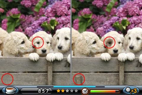 Изображение игры: Spot the Differences!