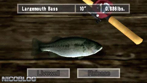 Изображение игры: Reel Fishing: The Great Outdoors