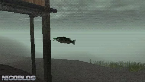 Изображение игры: Reel Fishing: The Great Outdoors