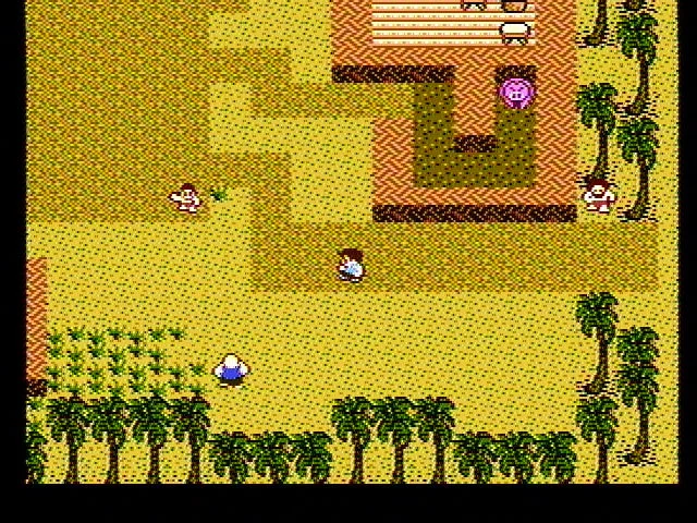 Изображение игры: StarTropics (1990)
