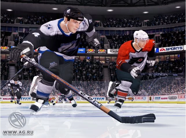Изображение игры: NHL 06