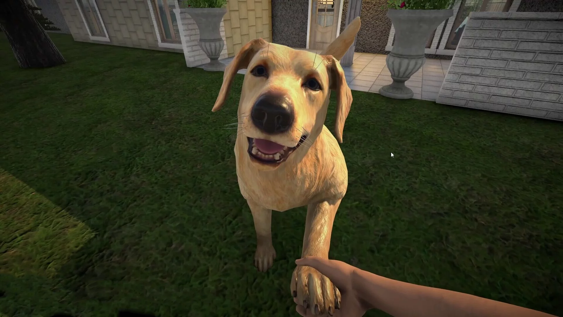Изображение игры: Pets Hotel