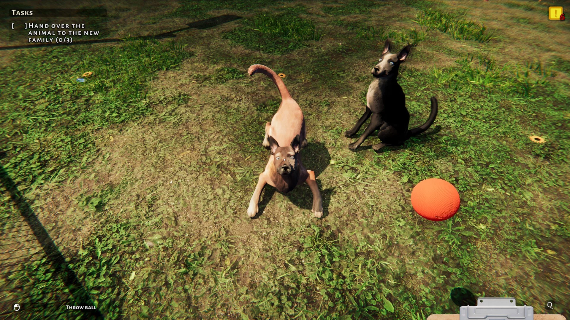 Изображение игры: Animal Shelter: Prologue