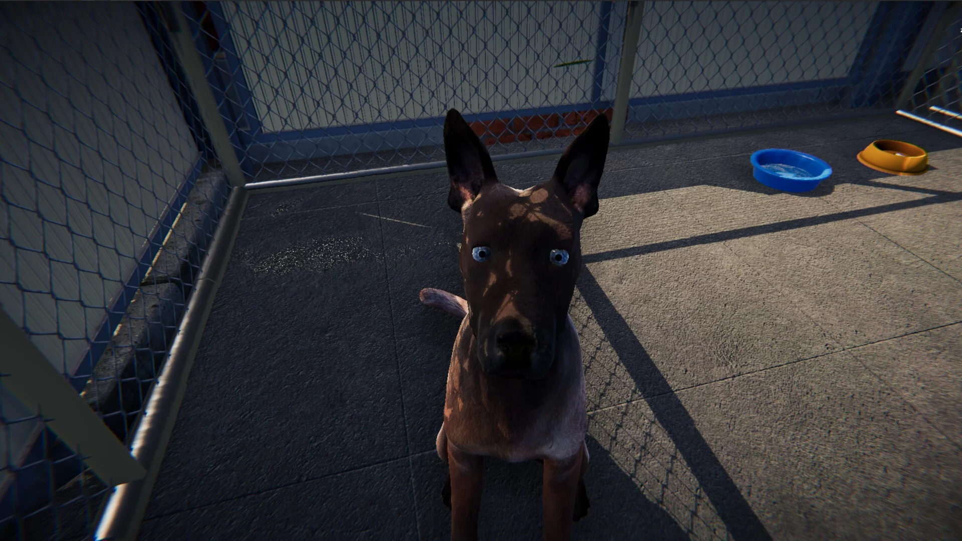 Изображение игры: Animal Shelter: Prologue