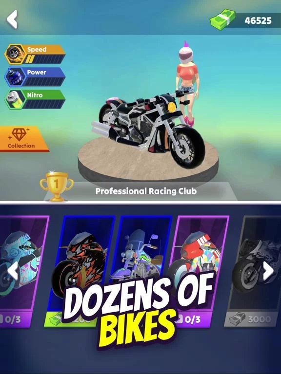 Изображение игры: Wild Wheels: Bike Race