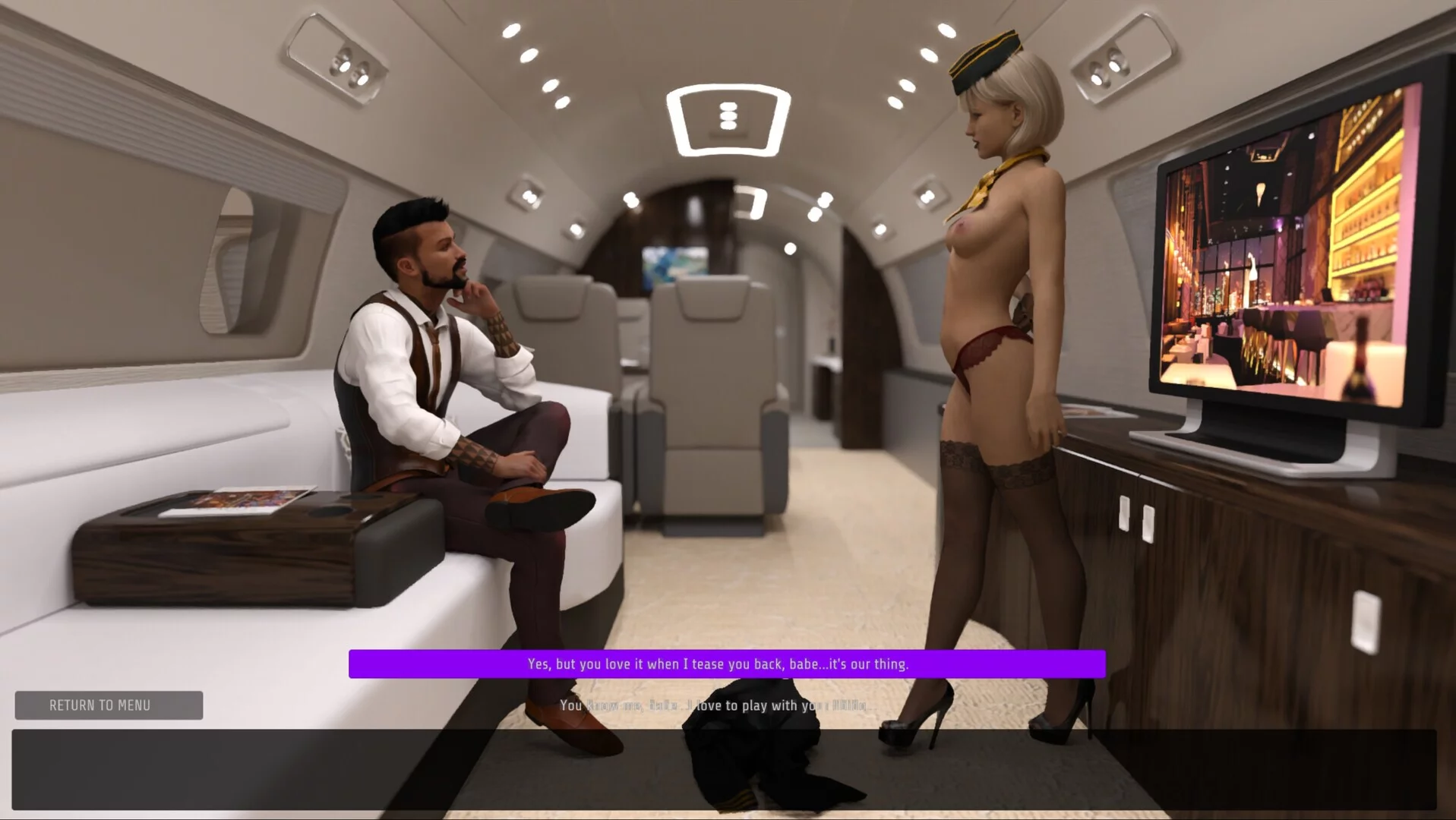 Изображение игры: Sex Simulator - The Private Jet