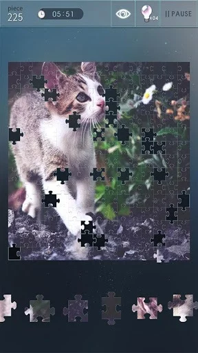 Изображение игры: Jigsaw Puzzle World
