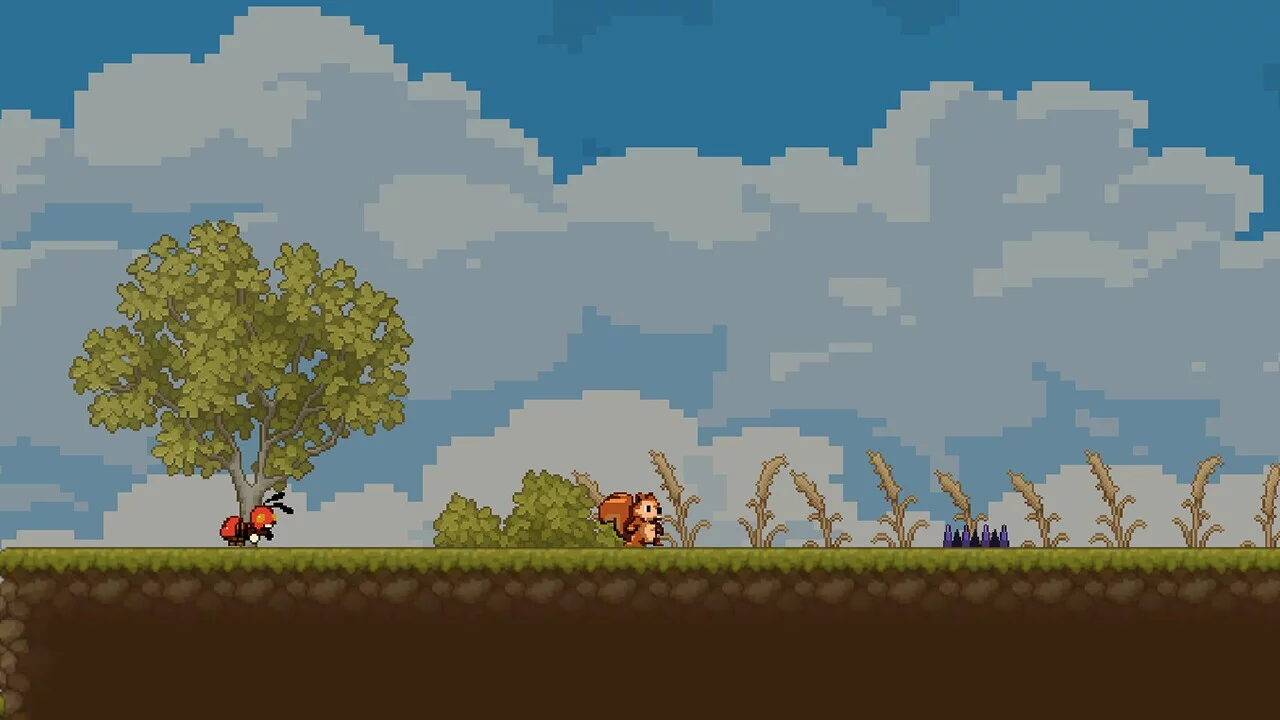 Изображение игры: Squirrel and nuts