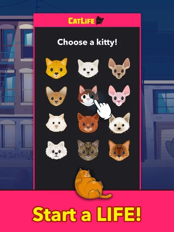 Изображение игры: CatLife - BitLife Cat Game