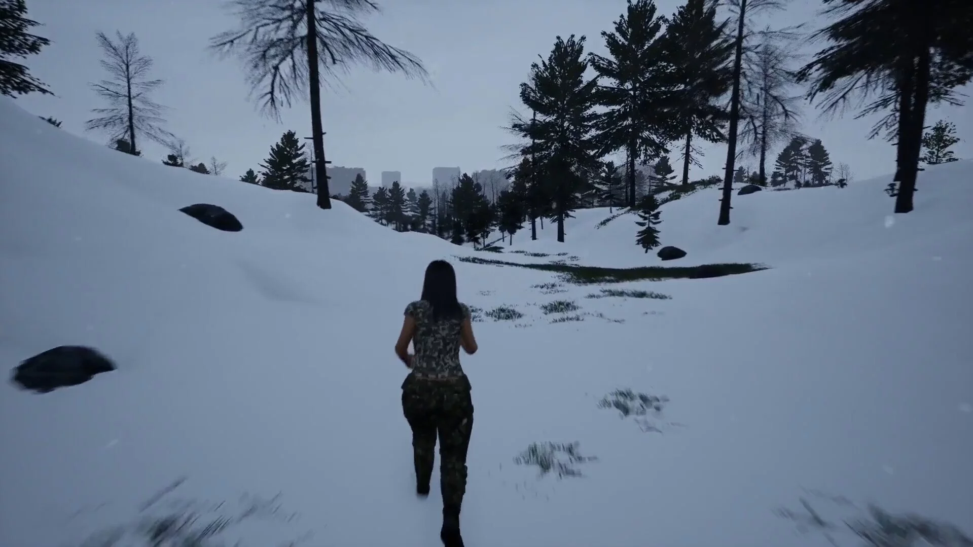 Изображение игры: SoleSurvivor