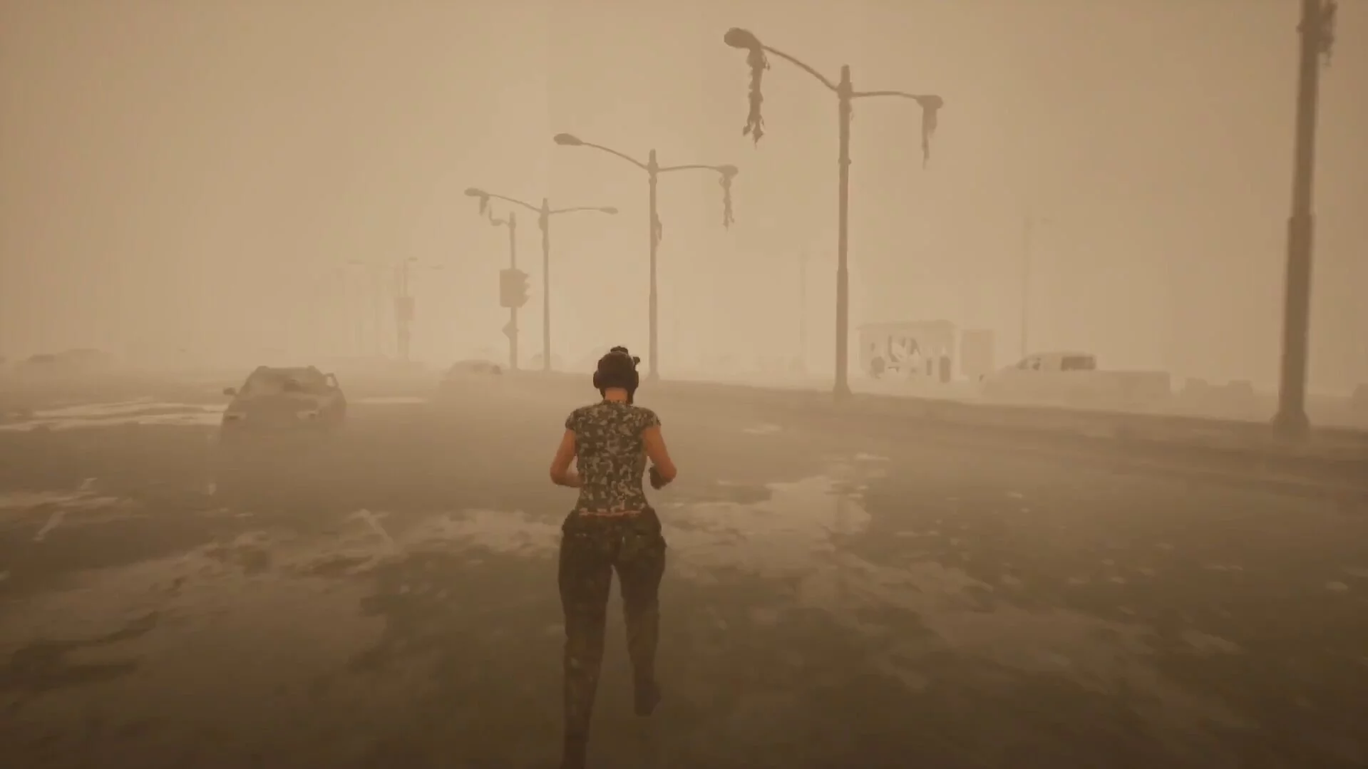 Изображение игры: SoleSurvivor
