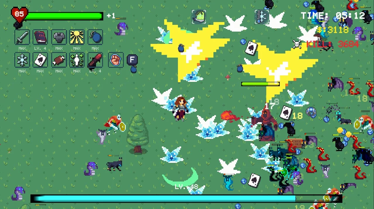Изображение игры: Survival Sprint