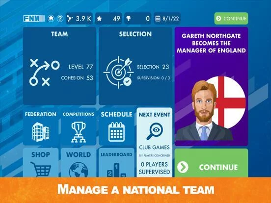 Изображение игры: Football National Manager