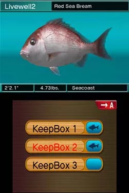Изображение игры: Reel Fishing Paradise 3D