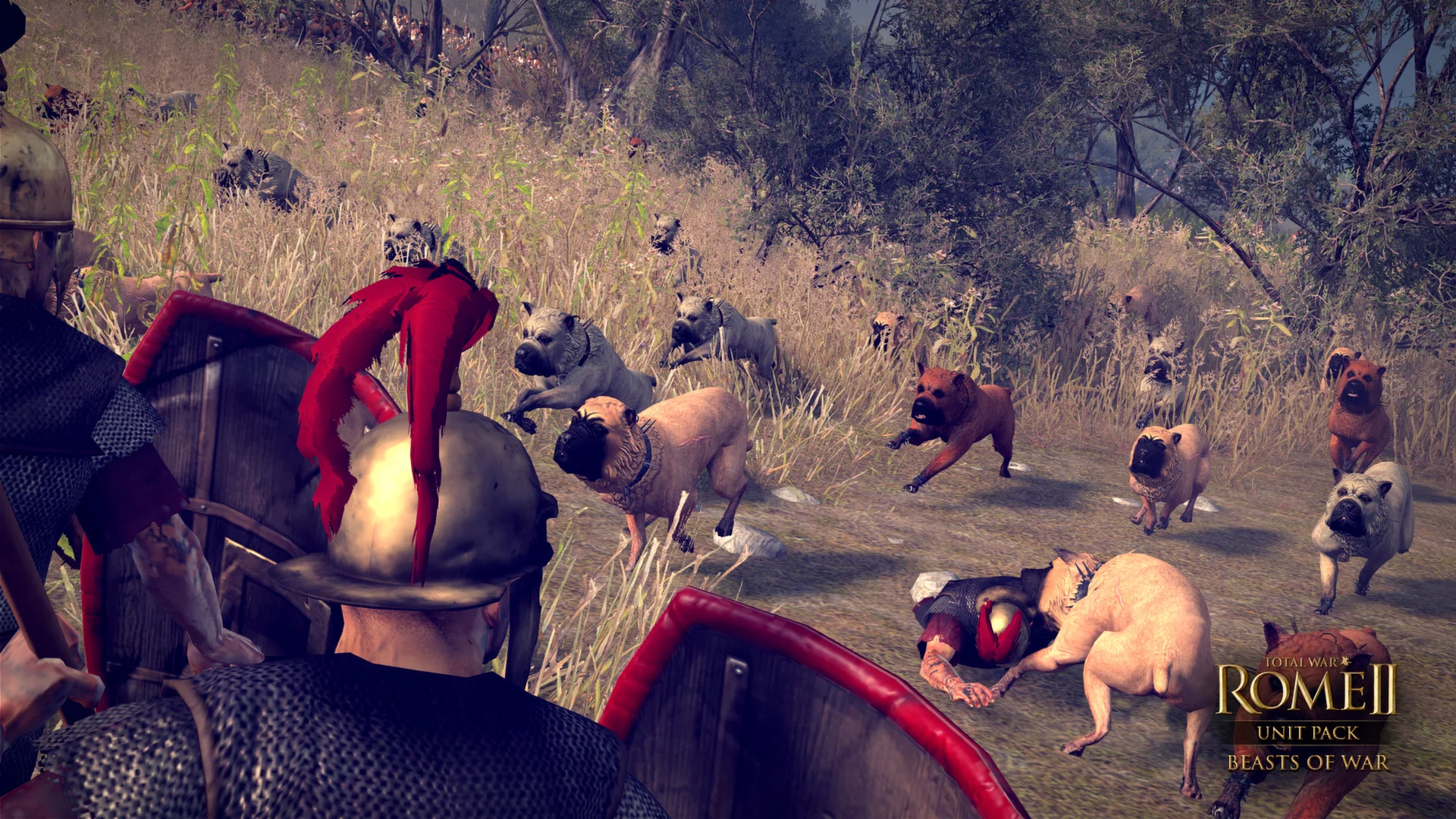 Изображение игры: Total War: Rome II - Beasts of War