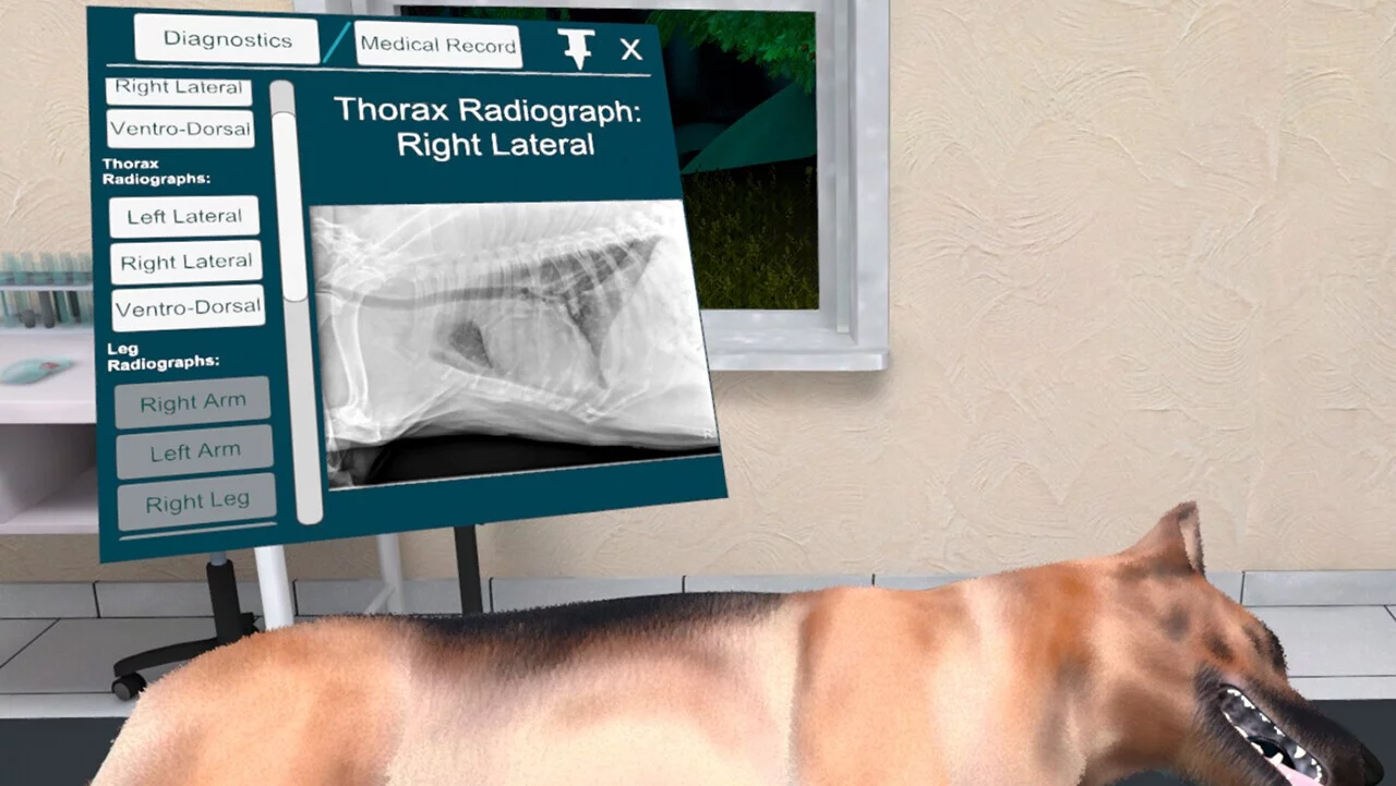 Изображение игры: VetVR Veterinary Simulator