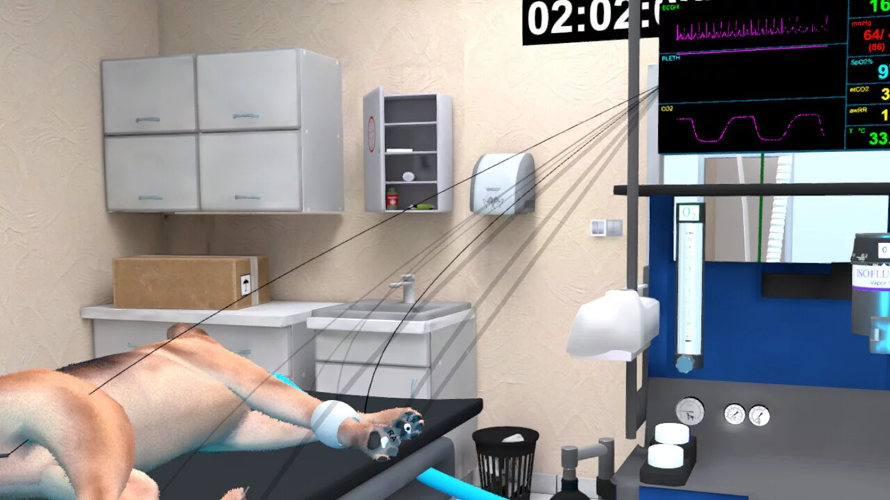 Изображение игры: VetVR Veterinary Simulator