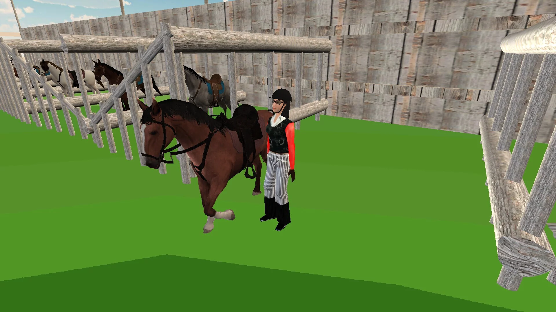Изображение игры: Riding Horse School