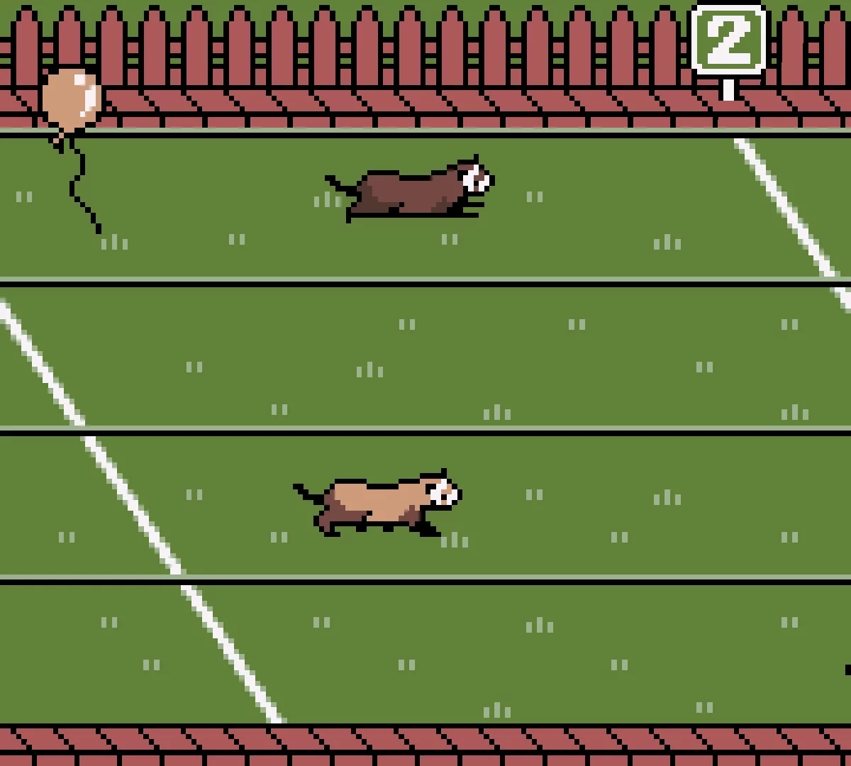 Изображение игры: Ferret Monogatari: Watashi no Okiniiri