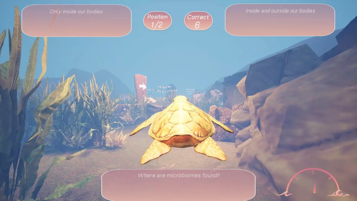 Изображение игры: Turtle Racer