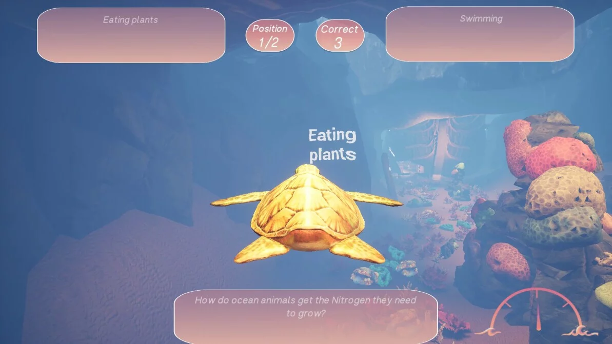 Изображение игры: Turtle Racer