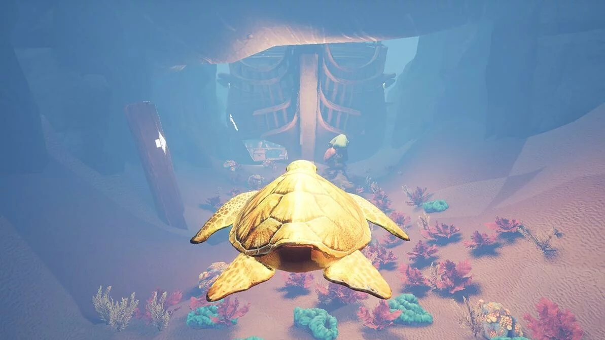 Изображение игры: Turtle Racer