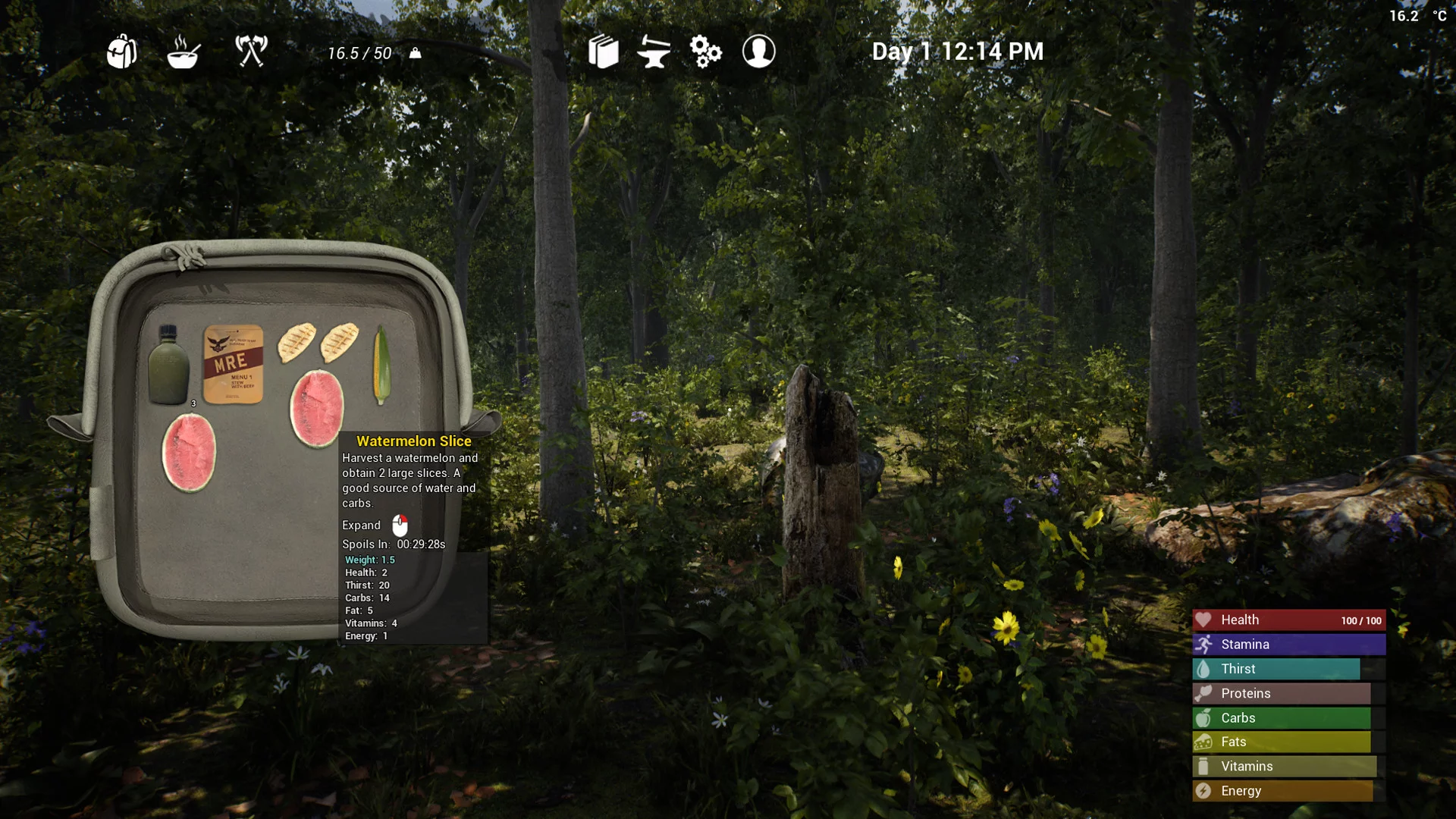 Изображение игры: The Infected Game